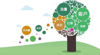 網(wǎng)站設(shè)計(jì)與軟件開發(fā)的系統(tǒng)性步驟