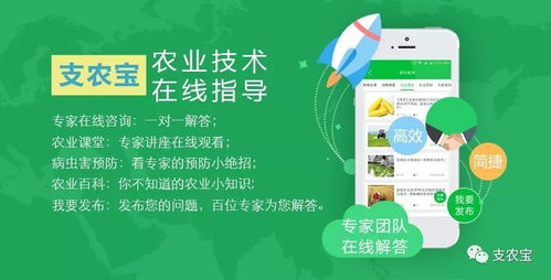 農(nóng)業(yè)技術(shù)推廣與軟件開發(fā) 一場數(shù)字時代的持久戰(zhàn)