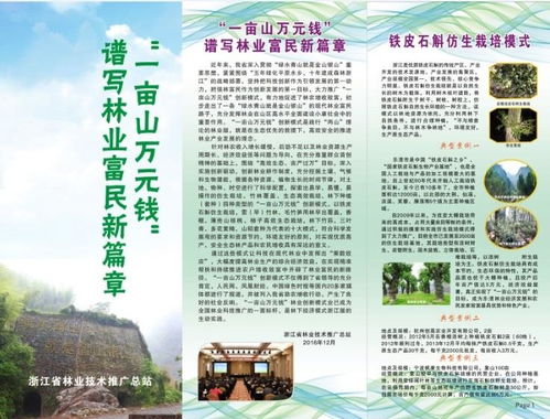 浙江省林業(yè)技術(shù)推廣總站的使命與實踐 架起科技與林農(nóng)的橋梁